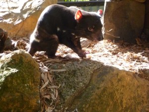 Fi and Paul March 2014 018